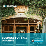 What types of businesses for sale in Hanoi to look out for?