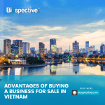 Advantages of buying a business for sale in Vietnam