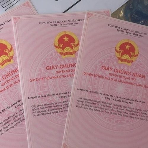 Cap-So-Do-Cham Cropped