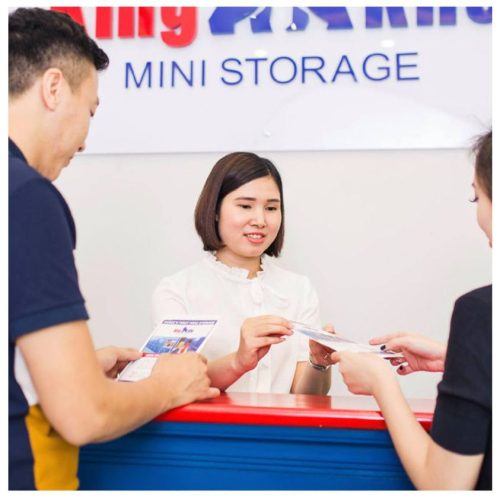 storage hanoi