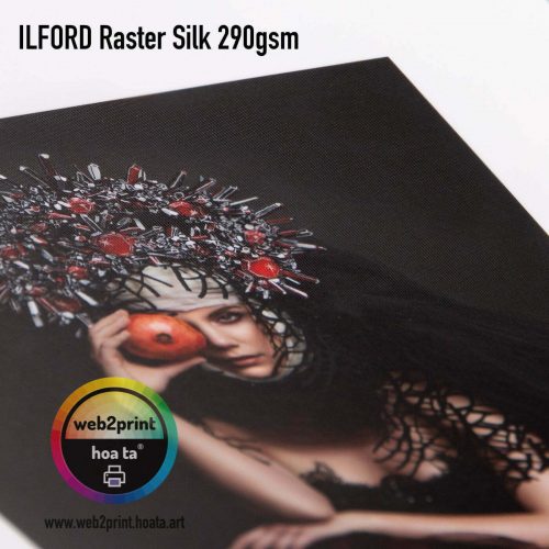 fine art printing hcm